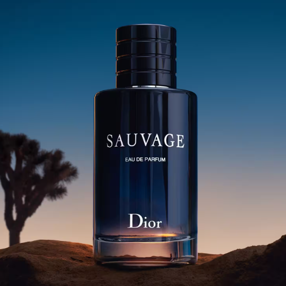 Sauvage - Eau de parfum